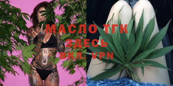 индика Аркадак