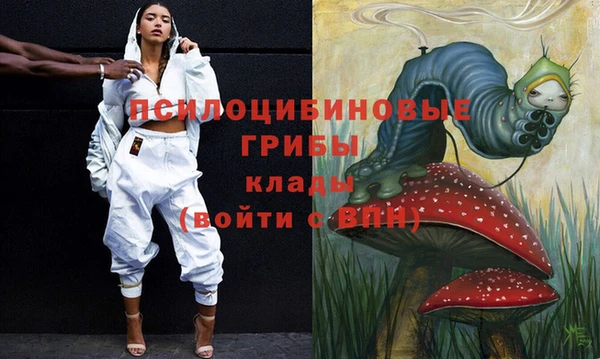 дмт Арсеньев