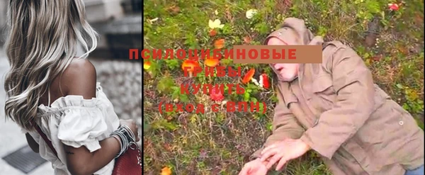 индика Аркадак