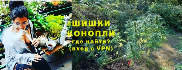 дмт Арсеньев