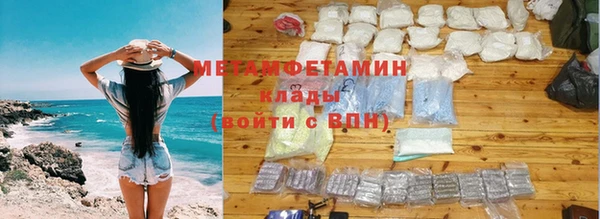 индика Аркадак