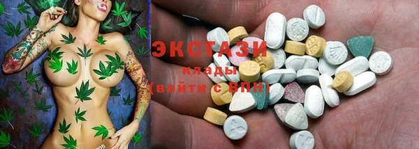 индика Аркадак