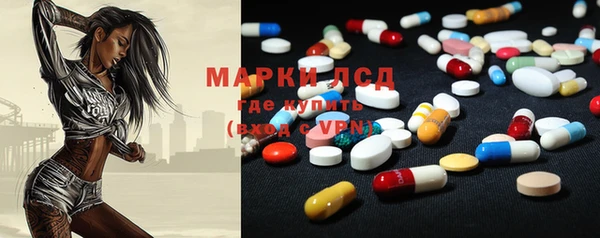 индика Аркадак