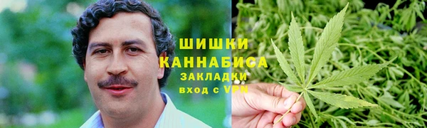 дмт Арсеньев